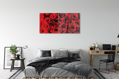 Acrylic print Roses