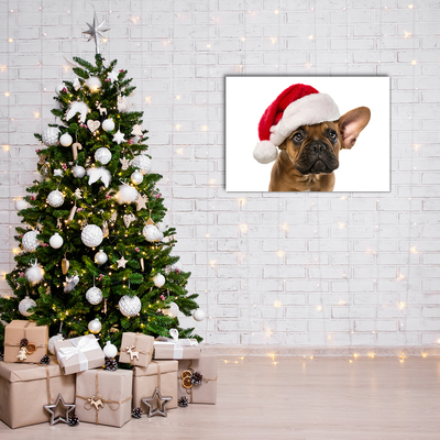 Acrylic Print Bulldog Dog Christmas