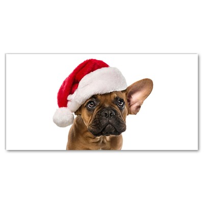 Acrylic Print Bulldog Dog Christmas