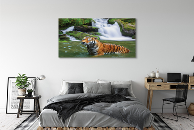 Canvas print Falling water tiger