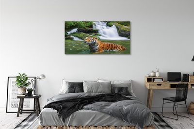 Canvas print Falling water tiger