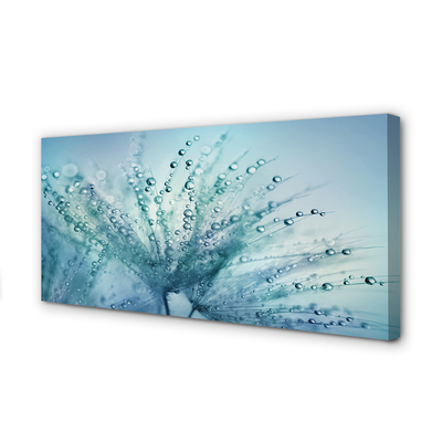 Tulup Glass print Wall art 125x50 Image Picture Dandelion 