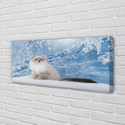 Canvas print Cat winter