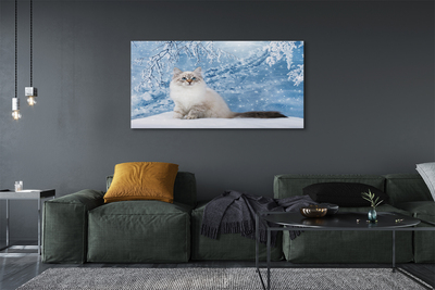 Canvas print Cat winter
