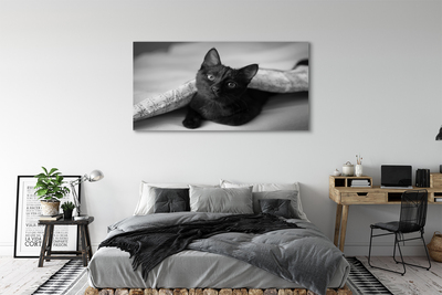 Canvas print Cat under cover
