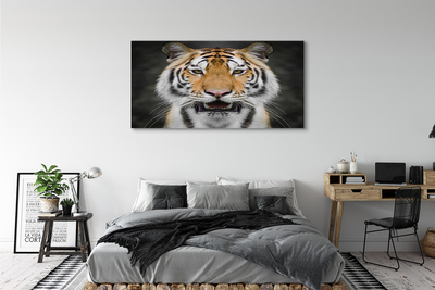 Canvas print Tiger
