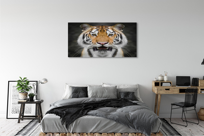 Canvas print Tiger