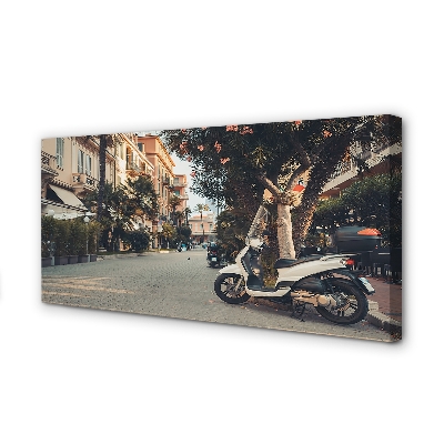 Canvas print City bikes summer palm