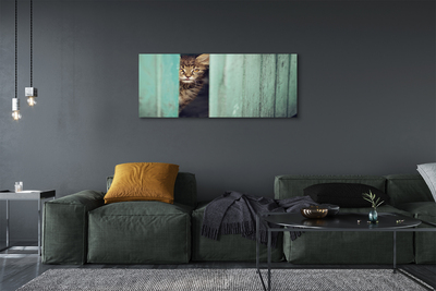 Canvas print Cat zaglądający