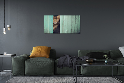 Canvas print Cat zaglądający