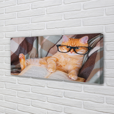 Canvas print The reader cat