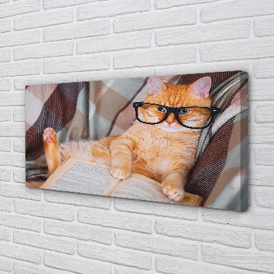 Canvas print The reader cat