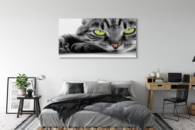 Canvas print Gray-black cat