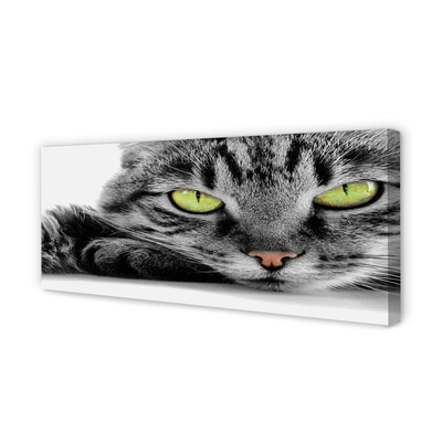 Canvas print Gray-black cat