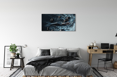 Canvas print Siren of the sea