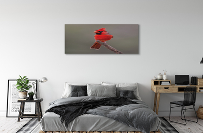 Canvas print Red parrot on a branch