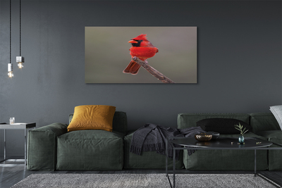 Canvas print Red parrot on a branch