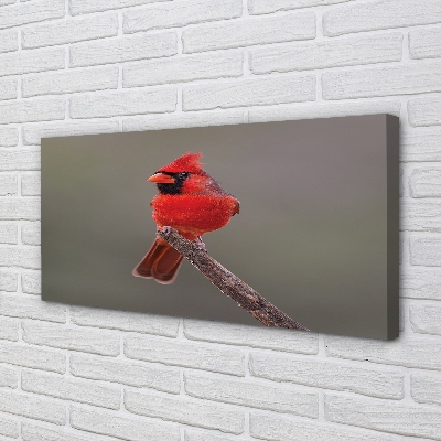 Canvas print Red parrot on a branch