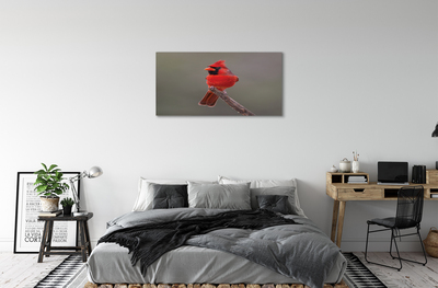 Canvas print Red parrot on a branch