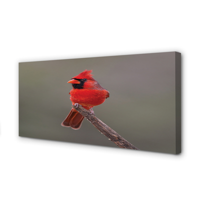 Canvas print Red parrot on a branch