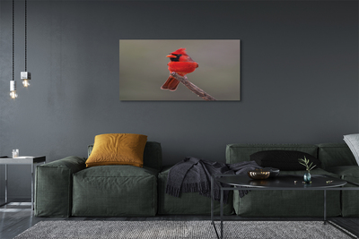 Canvas print Red parrot on a branch