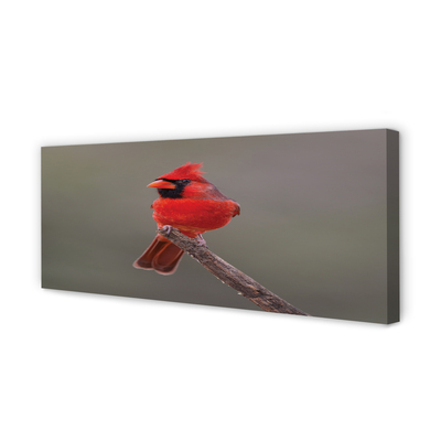 Canvas print Red parrot on a branch