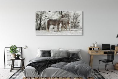 Canvas print Unicorns winter forest