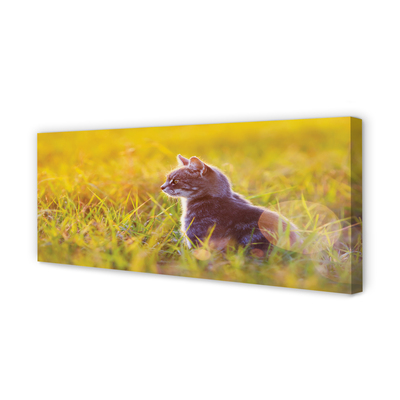 Canvas print Hunting cat