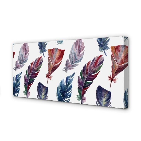 Canvas print Colored feathers