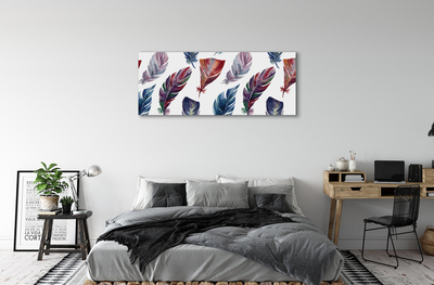 Canvas print Colored feathers