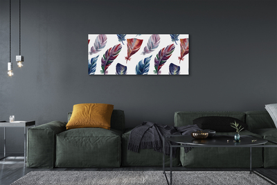 Canvas print Colored feathers