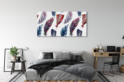 Canvas print Colored feathers