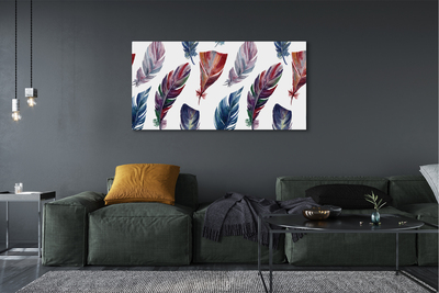 Canvas print Colored feathers