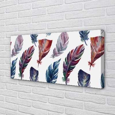 Canvas print Colored feathers