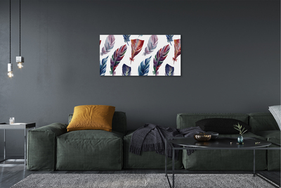 Canvas print Colored feathers