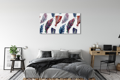 Canvas print Colored feathers