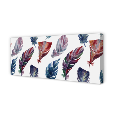 Canvas print Colored feathers