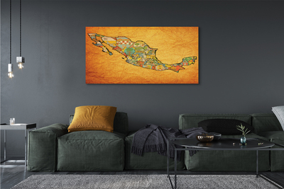 Canvas print Colored map