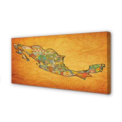 Canvas print Colored map