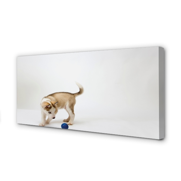 Canvas print Play with the dog