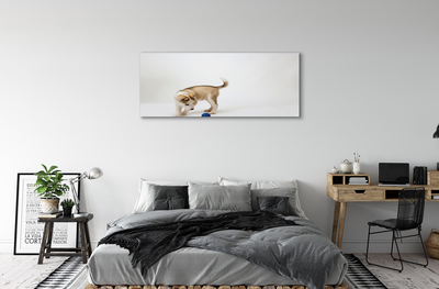 Canvas print Play with the dog