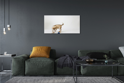 Canvas print Play with the dog