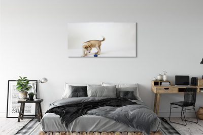 Canvas print Play with the dog