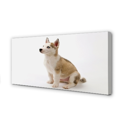 Canvas print Sitting small dog