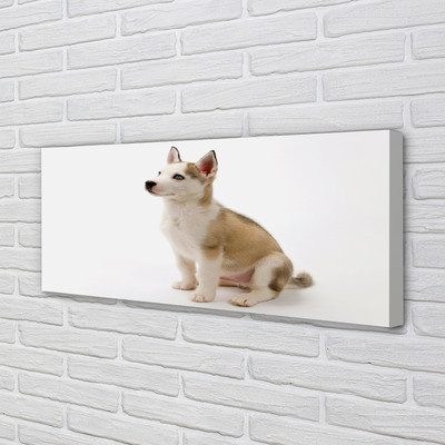 Canvas print Sitting small dog