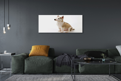 Canvas print Sitting small dog