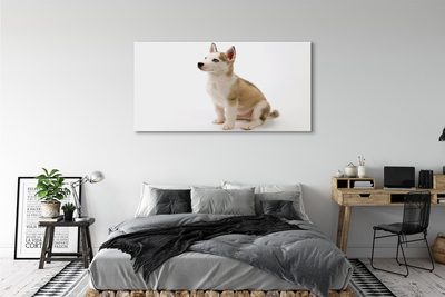 Canvas print Sitting small dog