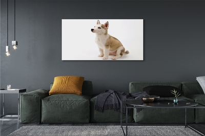 Canvas print Sitting small dog