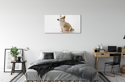 Canvas print Sitting small dog