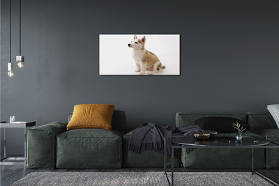 Canvas print Sitting small dog